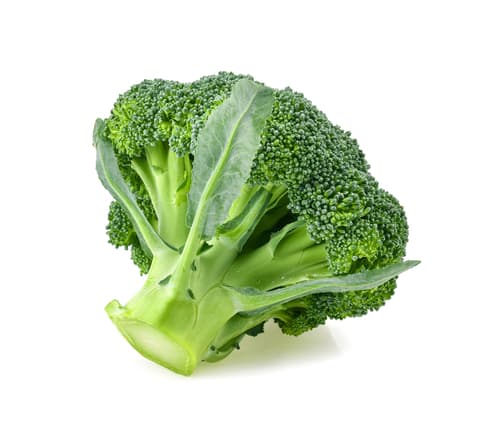 Broccoli - Nederland
