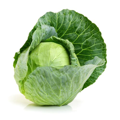 Groene kool - Nederland