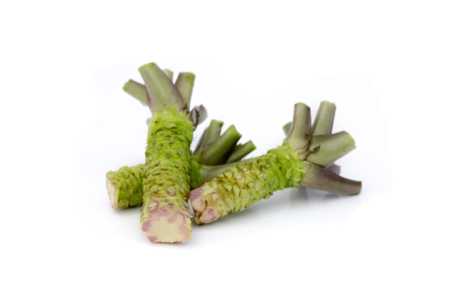 Wasabi 'vers Nederlands' - Dutch Wasabi, De Lier