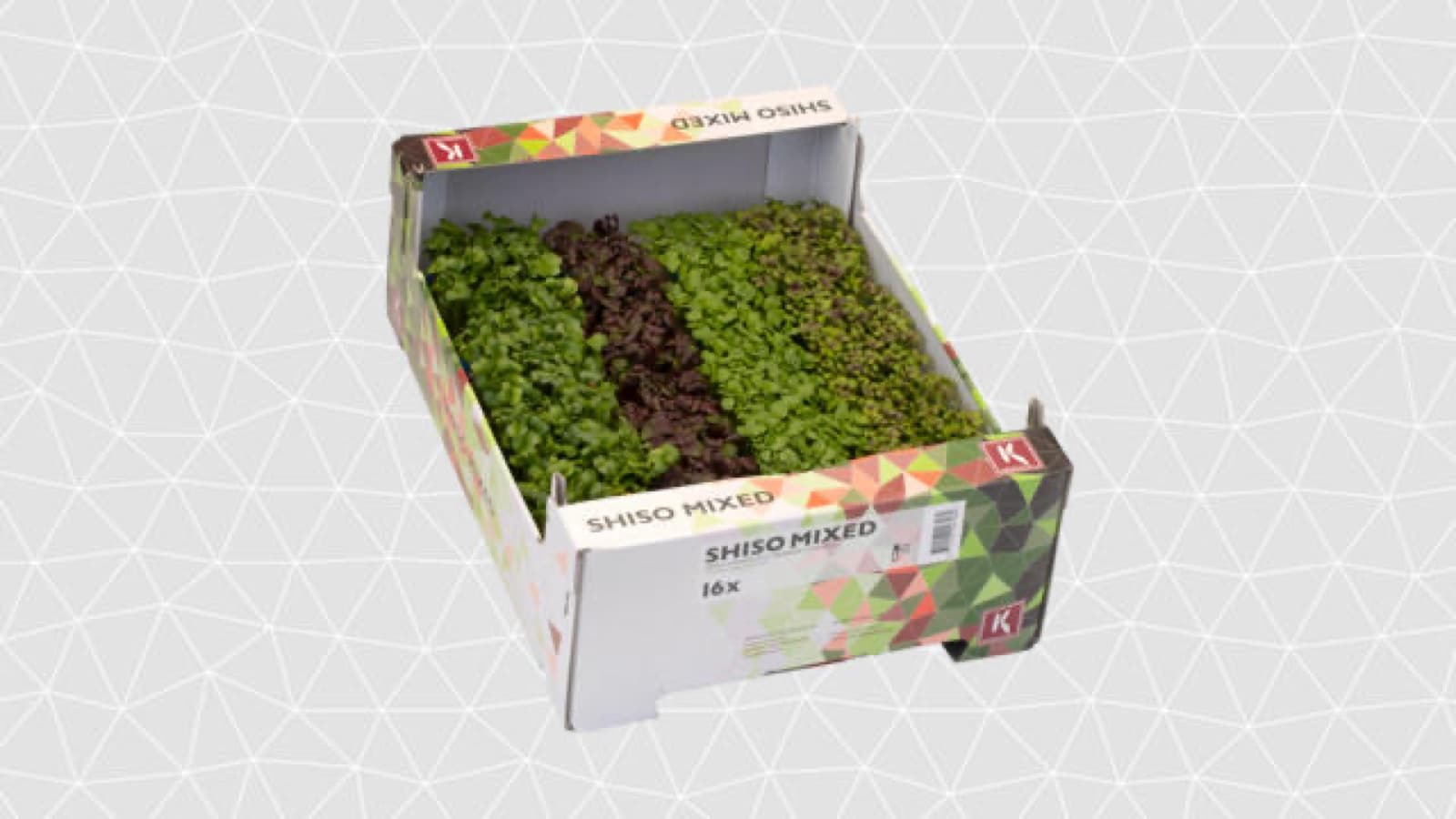 Shiso mix cress doos a 16 stuks - Koppert Cress, Monster