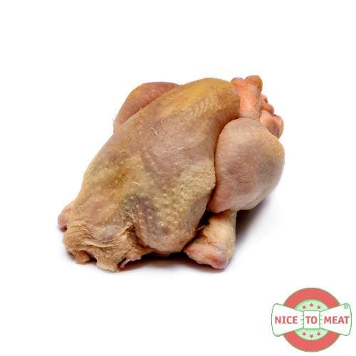Maiskip poussin