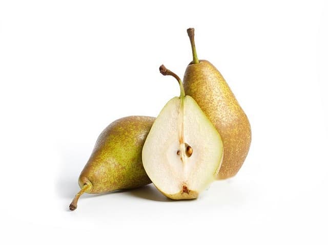 Peren Conference - Menso Tijssen, Altforst