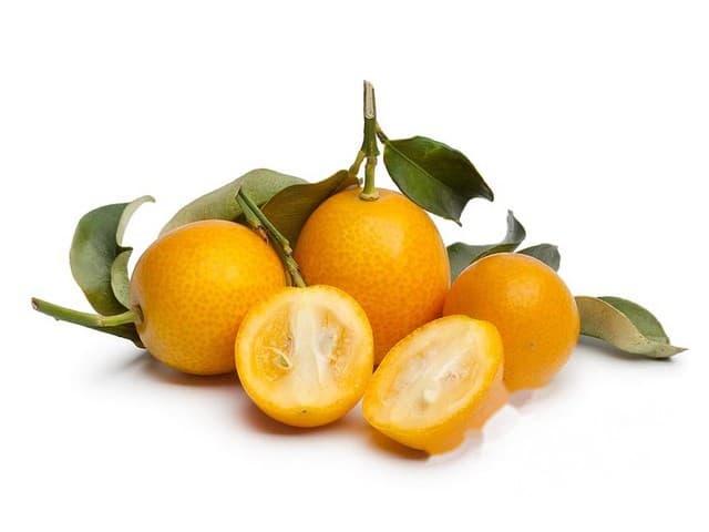 Kumquat - Zuid Afrika
