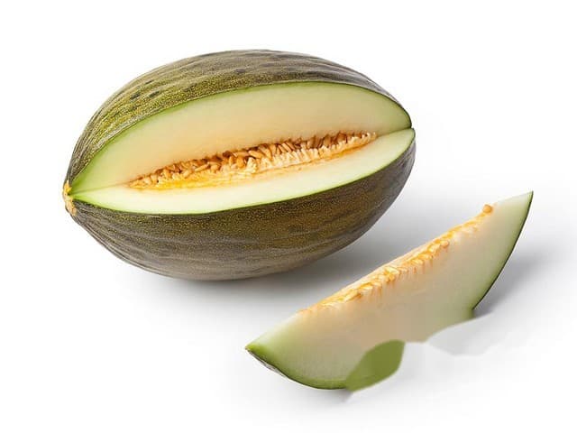 Meloenen Piel de Sapo per doos - Spanje