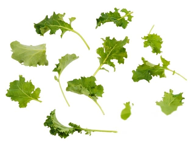 Pousse de kale 'boerenkoolscheutjes' bak 125gram - Italië