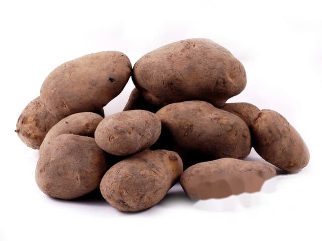 Bonken aardappel ongewassen - Burg, Schermer