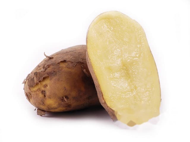 Bildstar aardappel - Tolen