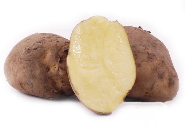 Frieslander aardappel - Kroon, Ursem