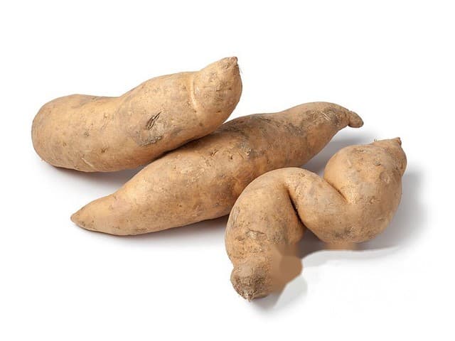 Zoete aardappel wit - Portugal