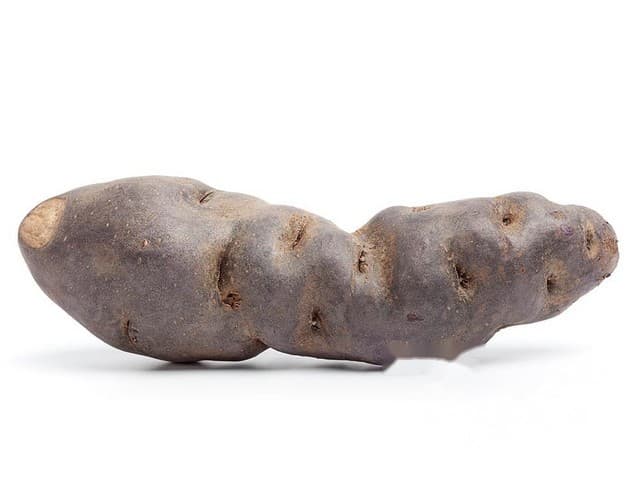 Truffelaardappel violettes noir - Frankrijk