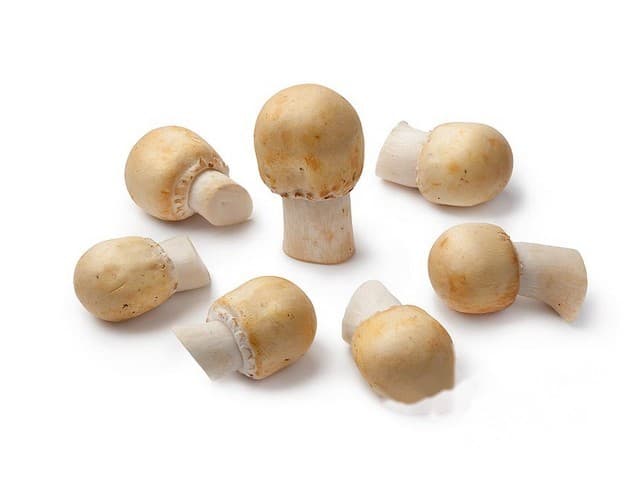 Akker Paddenstoelen per 250gram - Nederland