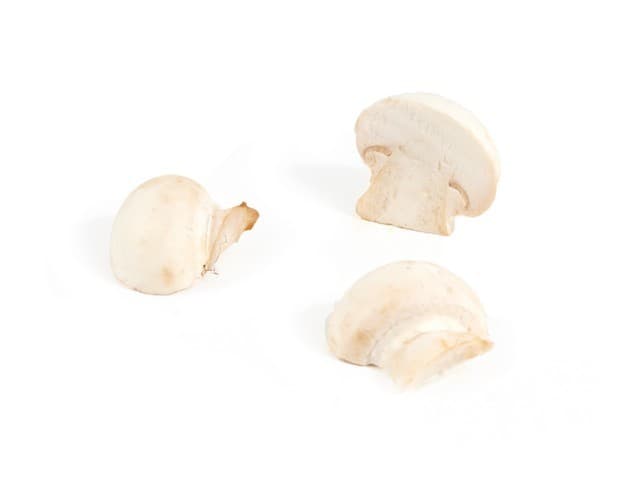 Champignon mini 'knoop' 125 gram - Bommelerwaard