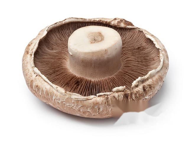 Portobello - Bommelerwaard