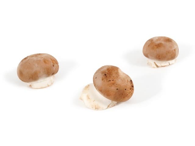 Kastanje champignon mini 'knoop' schaal a 125 gram - Nederland