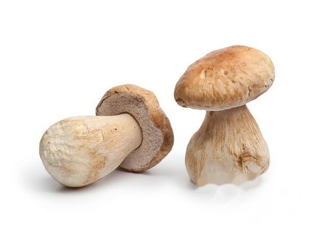 Cepes doorgesneden - Roemenië