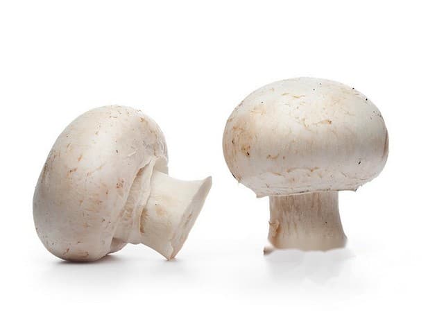 Champignons per kistje a 3kg - Bommelerwaard