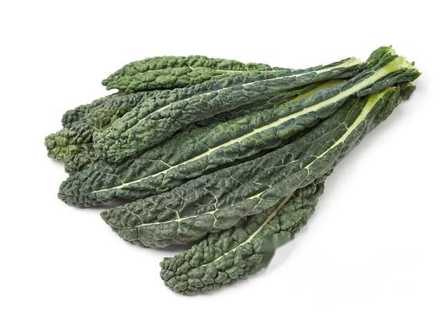 Cavolo Nero / Palmkool - Italië