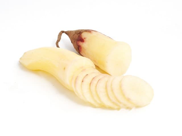 Yacon - Peru