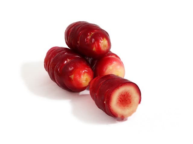 Oca knollen - Peru