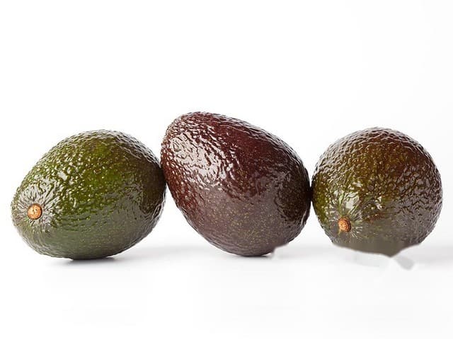 Avocado maat 18 per doos - Marokko