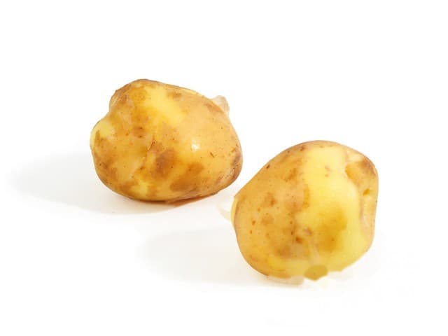 Opperdoezer aardappel gewassen
