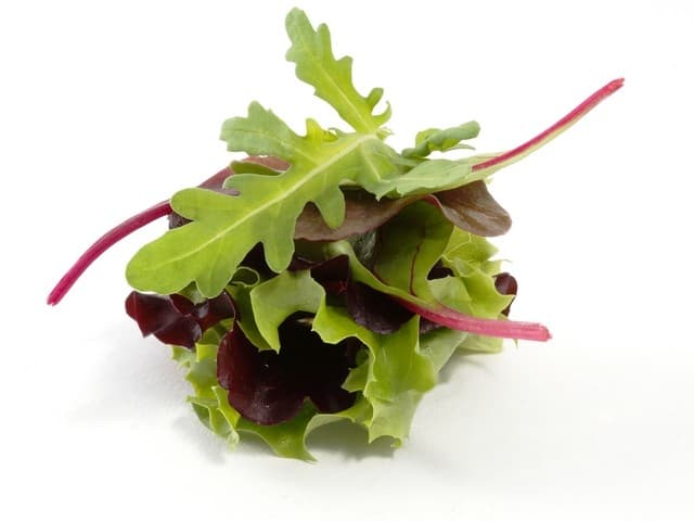 Mesclun brasserie gewassen per 250 gram