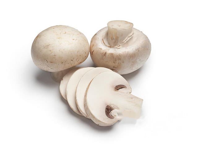 Champignons plakken 4mm bak a 1kg