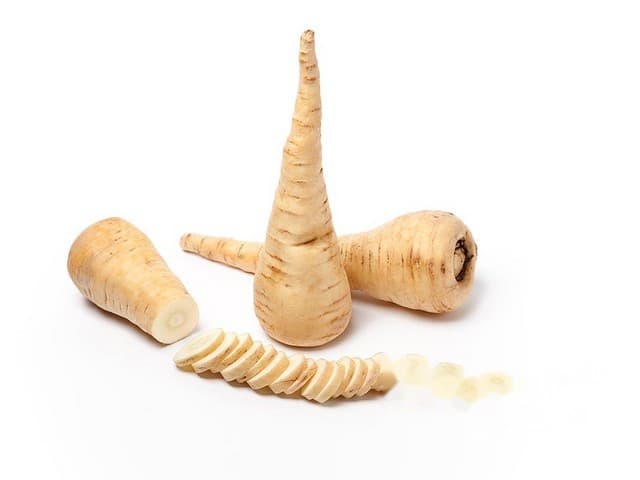 Pastinaak Gold de Legume Bio - Arenosa, Zeewolde