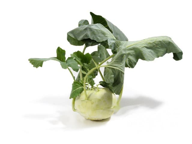 Koolrabi Bio - Italië