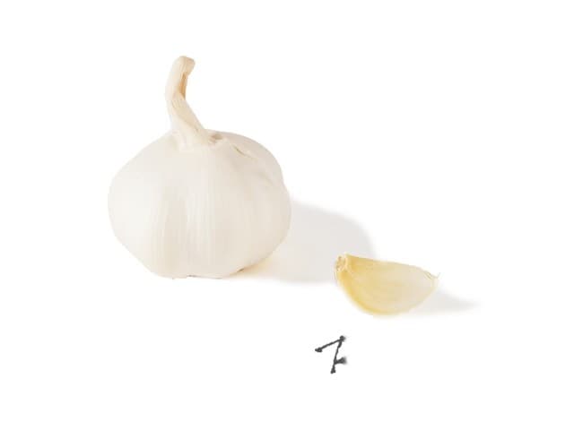 Knoflook Bio - Spanje