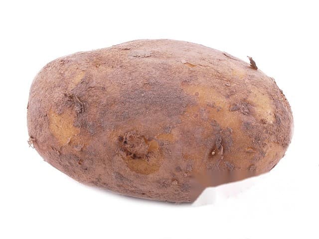 Connect Gold de Legume Bio - Nederland