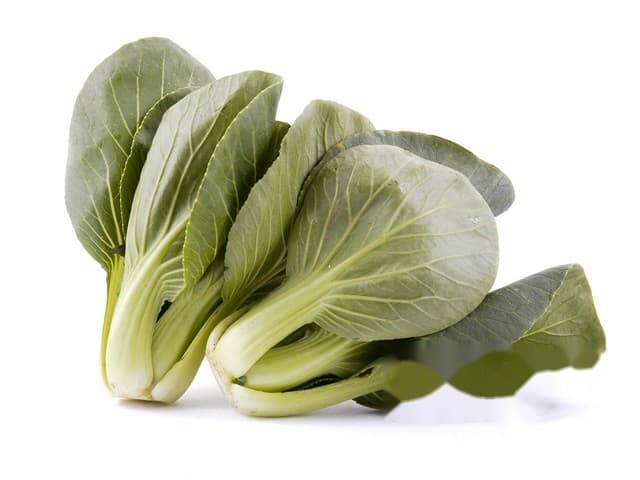 Bocksoy / mini paksoi - Belgie