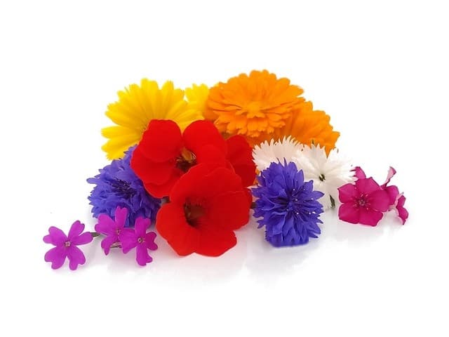 Bloemen mix Chefs Table - PUURgroenten, Middenmeer