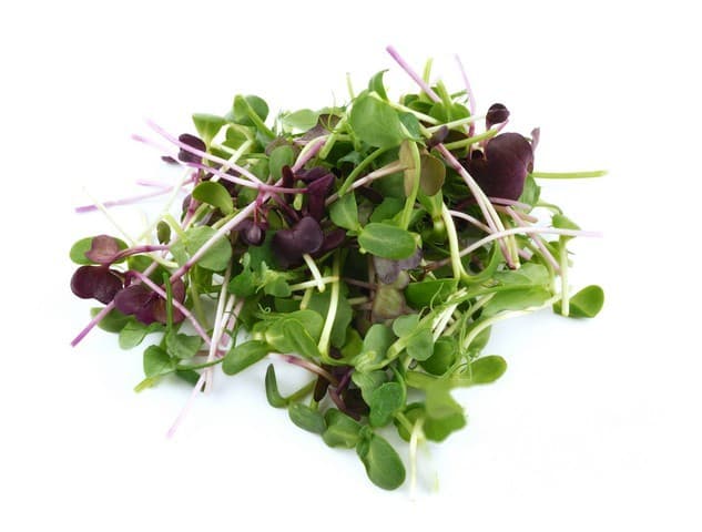Micro's basic mix schaal a 200 gram - België