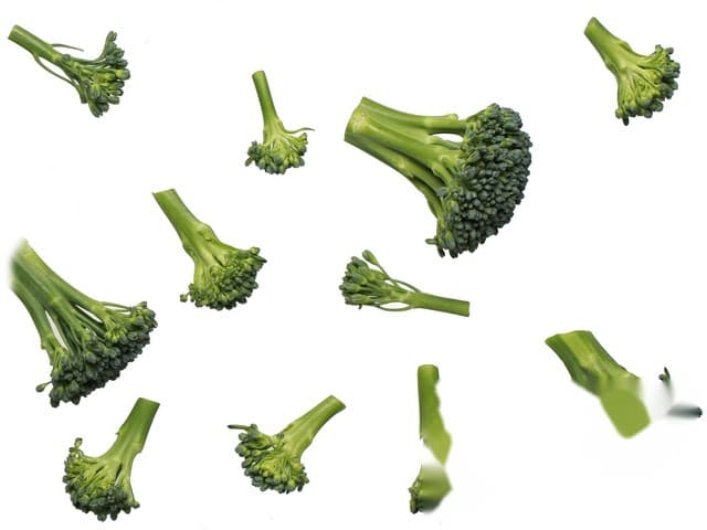 Stengel broccoli zak a 300 gram - Keltenhof, Filderstadt Duitsland
