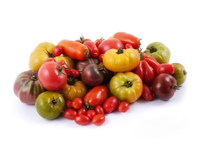 Tomaten Inca mix - Spanje