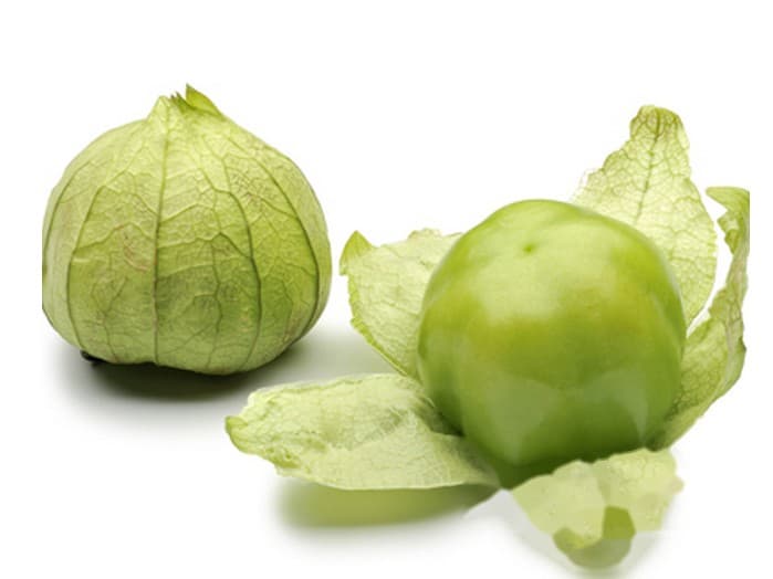 Tomatillo - Nederland