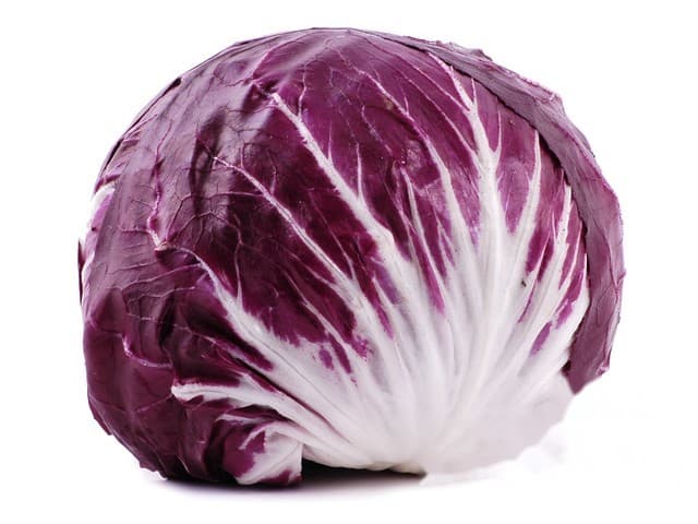 Rode sla Radicchio - Italië