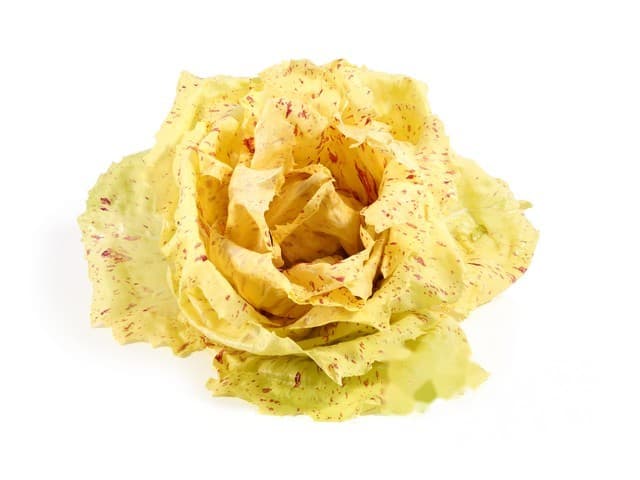 Castelfranco sla - Italië