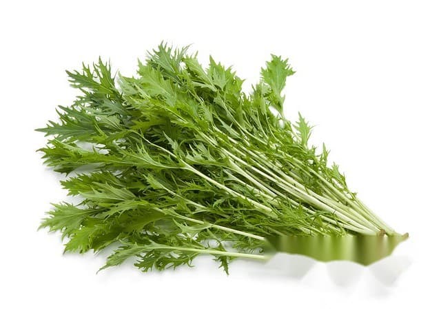 Mizuna groen per 125gr - Italië
