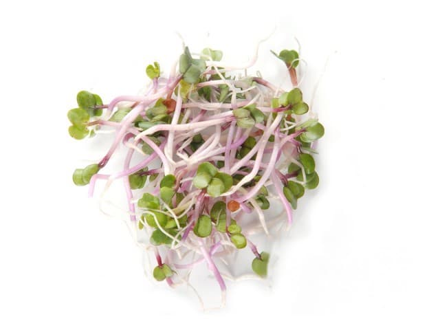 China rosa kiemen per 100gram - Nederland