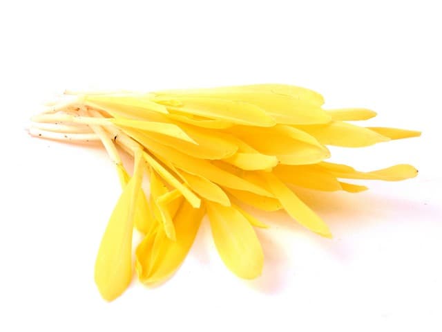 Popcorn Shoots - Cresco, Honselersdijk