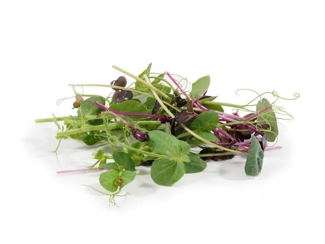 Cress mix 150 gram - Nederland