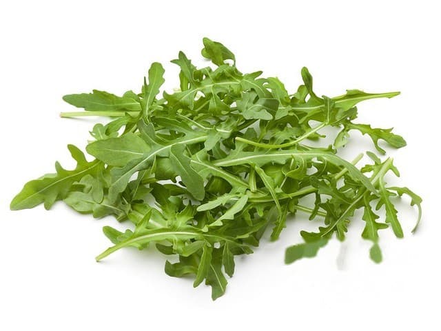 Rucola per 125gr - Nederland