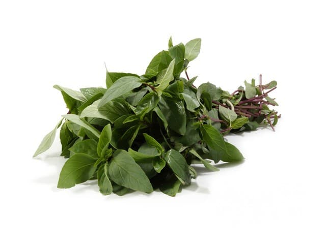 Basilicum Horapa Thaise - Kenia