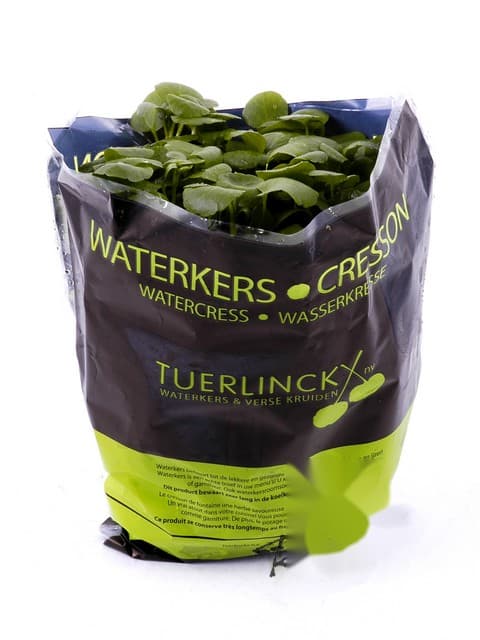Waterkers fijn - België