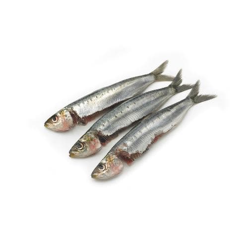 Sardines Bretons, met kop, schoon geschubt - Schmidt Zeevis, Rotterdam