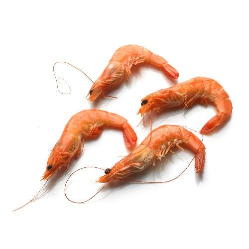 Gamba's vers gekookt - Schmidt Zeevis, Rotterdam