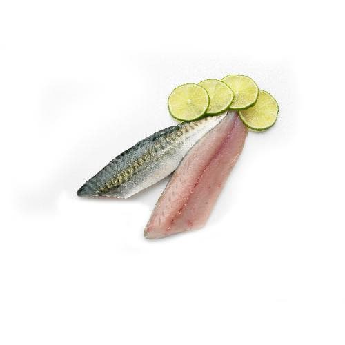 Makreelfilet vers